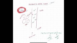 BICARBONATE BUFFER SYSTEM FOR MCAT  EASY [upl. by Ewell]