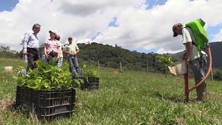 Plantar árvores para preservar a água [upl. by Breed]