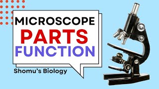 Microscope parts and functions in Hindi  Parts of a microscope [upl. by Calandra]