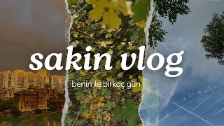 Sakin Vlog Ekim Ayı Son Günleri [upl. by Kristen]