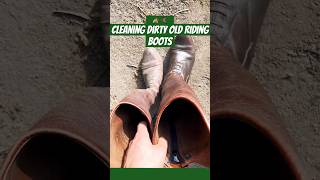 Satisfying polish of Equestrian Rider Boots [upl. by Ferino]