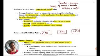 AQA Psychology  Multistore Model MSM  Oxford International AQA Psychology  Part 1 aqa alevel [upl. by Thorley]