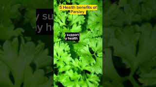 5 Health Benefits of Parsley [upl. by Yennaiv]