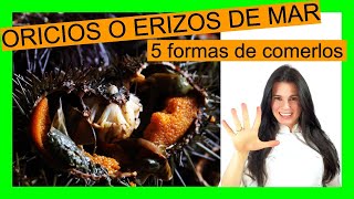 Cómo ABRIR  COCINAR y COMER ORICIOS o ERIZOS de MAR ¿Se comen crudos 🤔 [upl. by Ahseenyt270]