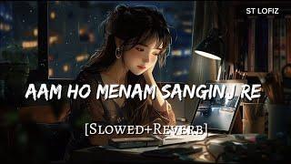 AAM HO MENAM SANGINJ RE  NEW SANTALI SONG  SlowedReverb ST Lofiz [upl. by Udelle]