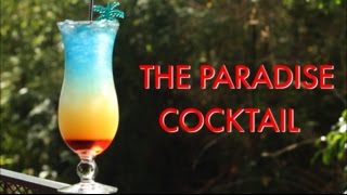 How To Make A Paradise Tropical Layered Cocktail  Drinks Made Easy [upl. by Aicemed]