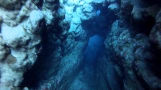 Freediving The Bells  Blue HoleDahab [upl. by Ziwot]