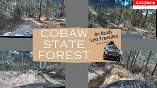 Rugged hill climbs at Cobaw State Forest Oct 2021 [upl. by Mair]