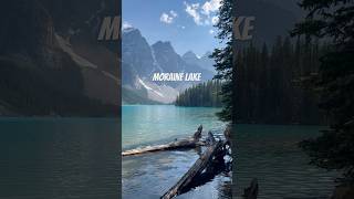 Moraine Lake Alberta nature banff morainelake canadianlake alberta trending [upl. by Ardin]