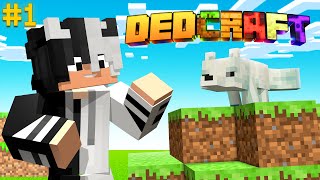 EL CONSENTIDO  Dedcraft 1  aXoZer [upl. by Sherourd970]