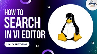 How to do a search in Linux VI editor  vi editor tutorial  Linux tutorial [upl. by Pepita738]