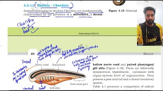 Animal Kingdom class 11th NCERT Biology Part 4  Phylum Chordata [upl. by Harl63]