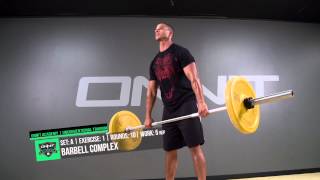 Full Body Animal Strength Workout [upl. by Kingsley]