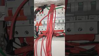 mcb box connection kaise karen mcb box connection ▶️ mcbox mcbe electrician gopi mccb [upl. by Danella]