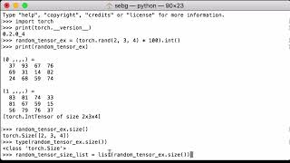 PyTorch Tensor Shape Get the PyTorch Tensor size  PyTorch Tutorial [upl. by Eitirahc]