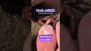 VIRAL CRAB ASMR 🦀🤯🦶 [upl. by Oilcareh]