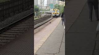 Cotton Green station Mumbai shorts ytshorts vlog train mumbai shortsfeed [upl. by Slack]