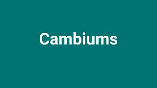 Cambiums Meaning and Pronunciation [upl. by Vivle]