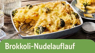 Brokkoli Nudelauflauf  REWE Deine Küche [upl. by Venita]