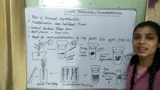 Micropropagation Clonal Propagation In Plant Tissue Cultureakanshasaroha [upl. by Pandora]