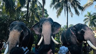 Kunninmal Bhagavathi shatram Anayutte [upl. by Turino377]