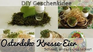 DIY Osterdeko Kresse Ei  Deko oder Geschenk für Ostern [upl. by Llerrac538]