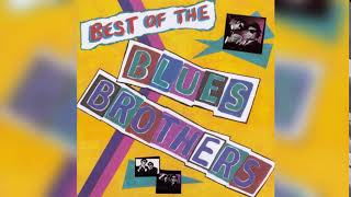 Blues Brothers  Best Of 1981 Full Album [upl. by Harrod]