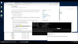How to Run OpenBazaar with Tor on Windows Outdated [upl. by Refotsirk678]