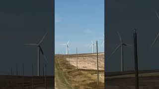 Alta wind farm reelsbauhausvlog [upl. by Enaj128]