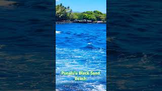 Punaluu Black Sand Beach [upl. by Tnomyar]