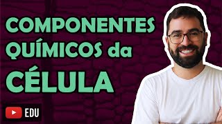 Componentes Químicos da Célula Bioquímica  LINK PARA A AULA NOVA NA DESCRIÇÃO [upl. by Myers]