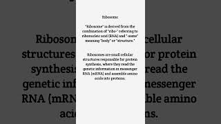 Ribosome Ribosomes RibosomesDefinition RibosomesMeaning RibosomesEtymology BasicConcepts [upl. by Assedo]