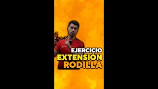 Ejercicio extensión rodilla [upl. by Hofstetter525]