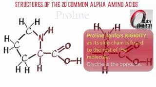 Amino Acids 1 Structures of the 20 Amino Acids [upl. by Tocci]