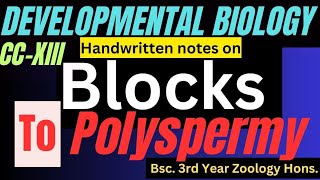 Blocks to polyspermy ll what is polyspermy blocks to polyspermy in developmental biology ll CCXIII [upl. by Yniar]