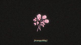 tranquillity  lofi hip hop beat FREE FOR PROFIT USE [upl. by Berthe]