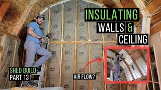 How to Install Insulation  DIY Faced Insulation  Shed Build Part 13 [upl. by Anilejna722]