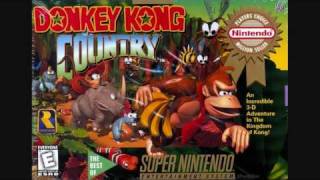 Donkey Kong Country DKs Island Theme Song [upl. by Base628]