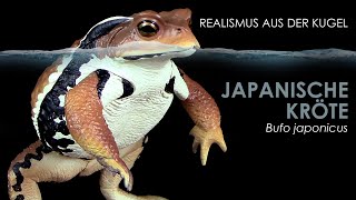 Japanische Kröte  Azuma Toad  Bufo japonicus  realistisches Modell  Gashapon Unboxing amp Review [upl. by Nhguavad]