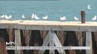 Suivez le guide  lîle de Ré [upl. by Anha]