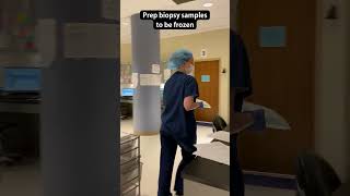 A Day in the Life of an Embryologist [upl. by Prudi296]