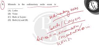 Minerals in the sedimentary rocks occur in [upl. by Lyndsay]