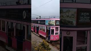 Seaton Tramway car 11 by the River Axe [upl. by Melliw]