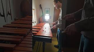 Marimba Improvisation 4 Mallet Solo shorts marimba [upl. by Miko]