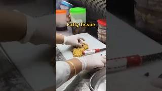 Fatty tissue foe grossing in histopathology  histopathology [upl. by Zulema]