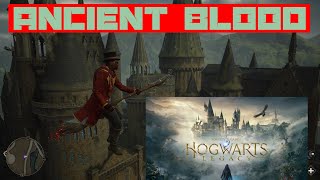 Hogwarts Legacy Ep 9  PS5 Gameplay 4K [upl. by Ella941]