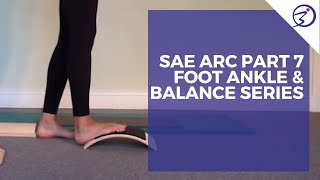 Sae Arc Part 7 Foot Ankle amp Balance Series by ProBalance [upl. by Margery]