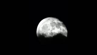 The First Lunar Calendar A 17000YearOld Mystery shorts [upl. by Chamberlin323]