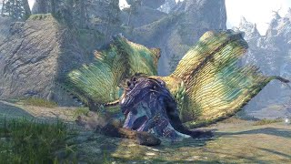 Rare Footage of Shagaru Magala parents nurturing a young Gore Magala [upl. by Herman]