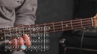 How to Play D ♯  E Flat Minor Scale  Bass Guitar [upl. by Nivlak]